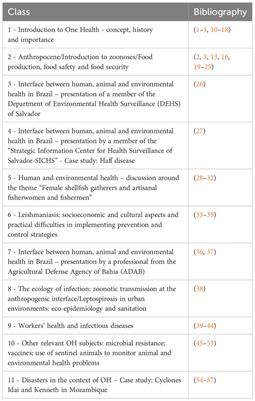 Tailoring a One Health course for an established non-One Health graduate program in Brazil